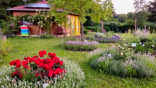 Bienengarten Bamberg