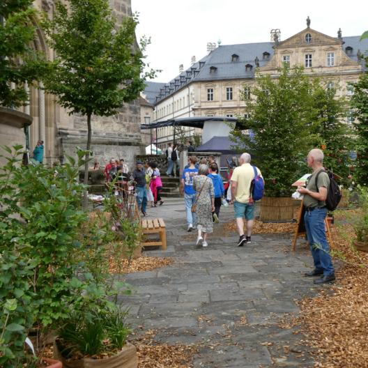 Die derzeitige Grüne Oase auf dem Domkranz ist im Heiligen Jahr ein Hoffnungszeichen für die Schöpfung