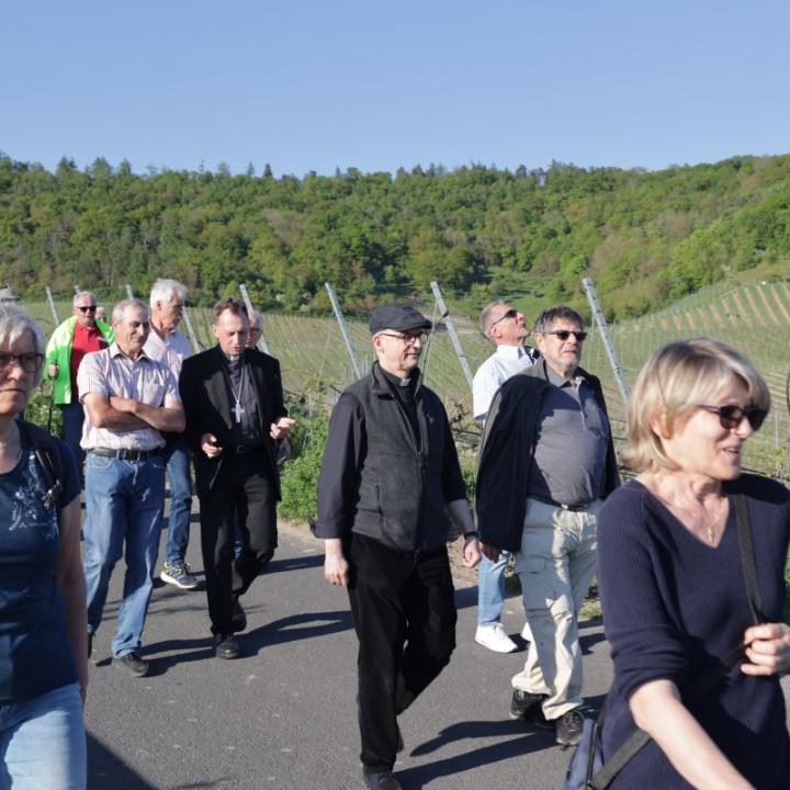 Auf einem bistumsübergreifenden Pilgerweg der Hoffnung sind am Montag, 28. Apri8l, Erzbischof Herwig Gössl (Bamberg) und Bischof Dr. Franz Jung (Würzburg) mit rund 200 Gläubigen von Rödelsee durch die Weinberge unterwegs nach Iphofen gewesen.